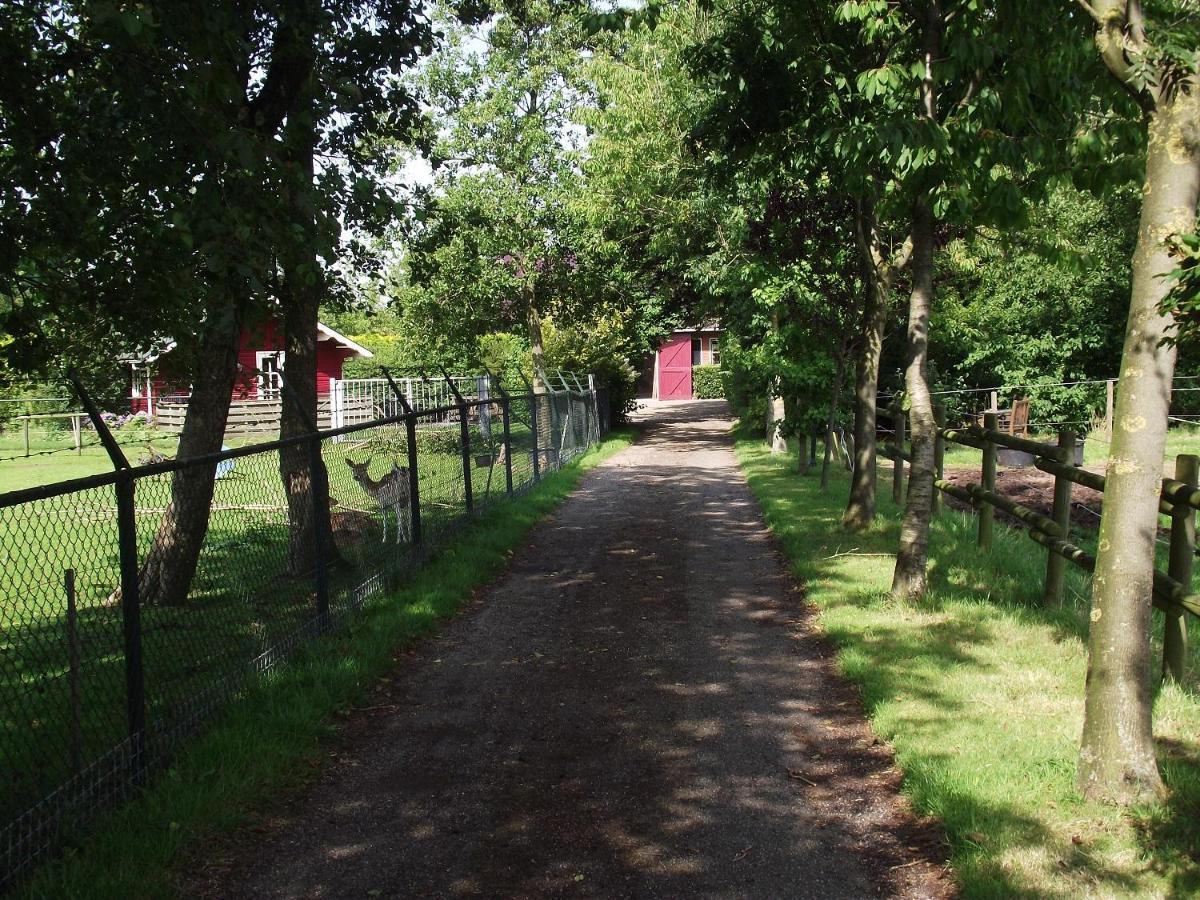 Vakantiehuisjes Landgoed Sonneborghe Kollumerzwaag 외부 사진