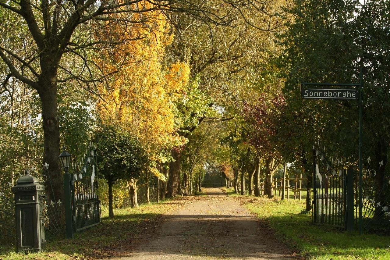 Vakantiehuisjes Landgoed Sonneborghe Kollumerzwaag 외부 사진