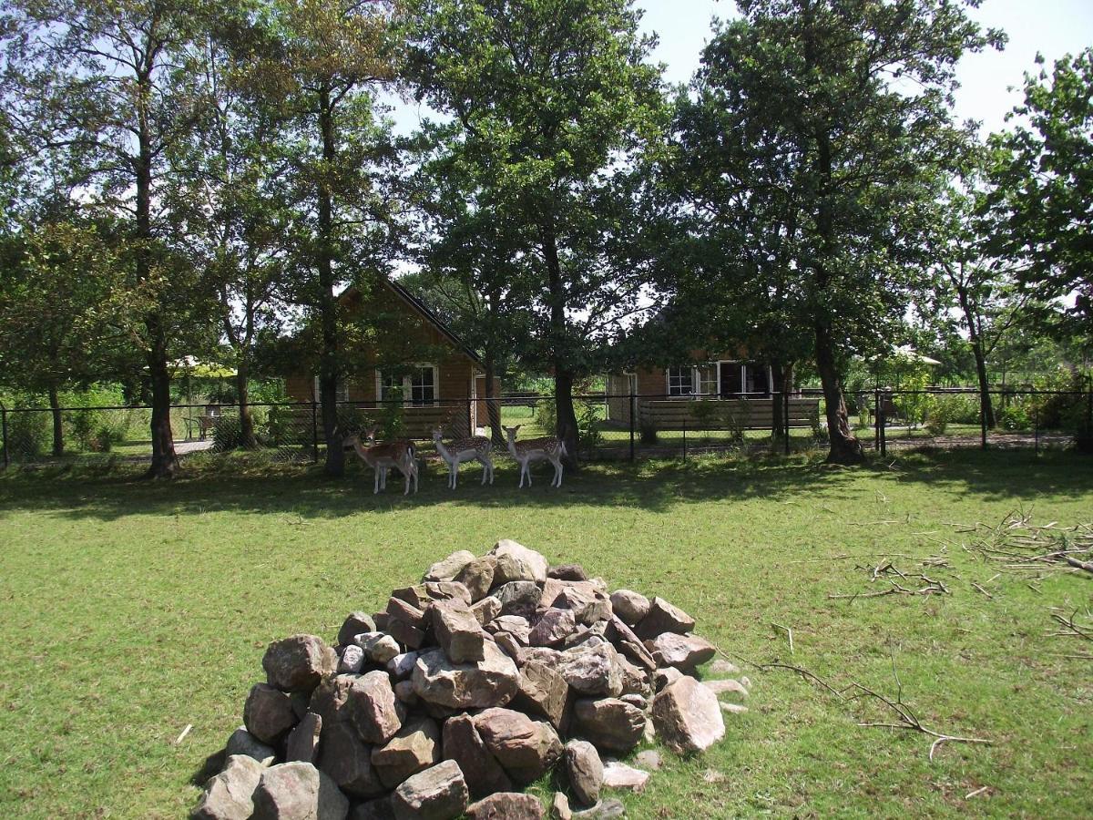 Vakantiehuisjes Landgoed Sonneborghe Kollumerzwaag 외부 사진