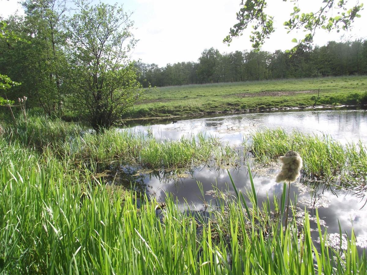 Vakantiehuisjes Landgoed Sonneborghe Kollumerzwaag 외부 사진