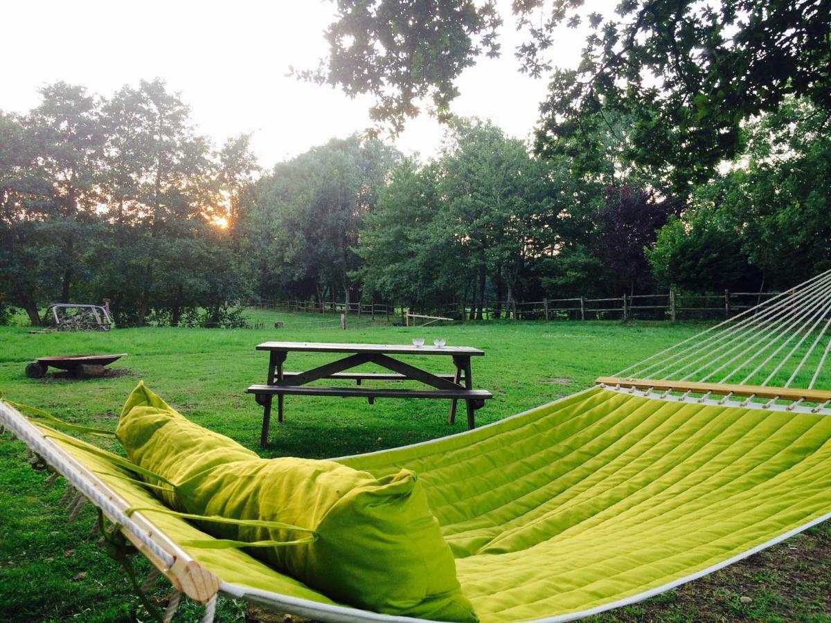 Vakantiehuisjes Landgoed Sonneborghe Kollumerzwaag 외부 사진