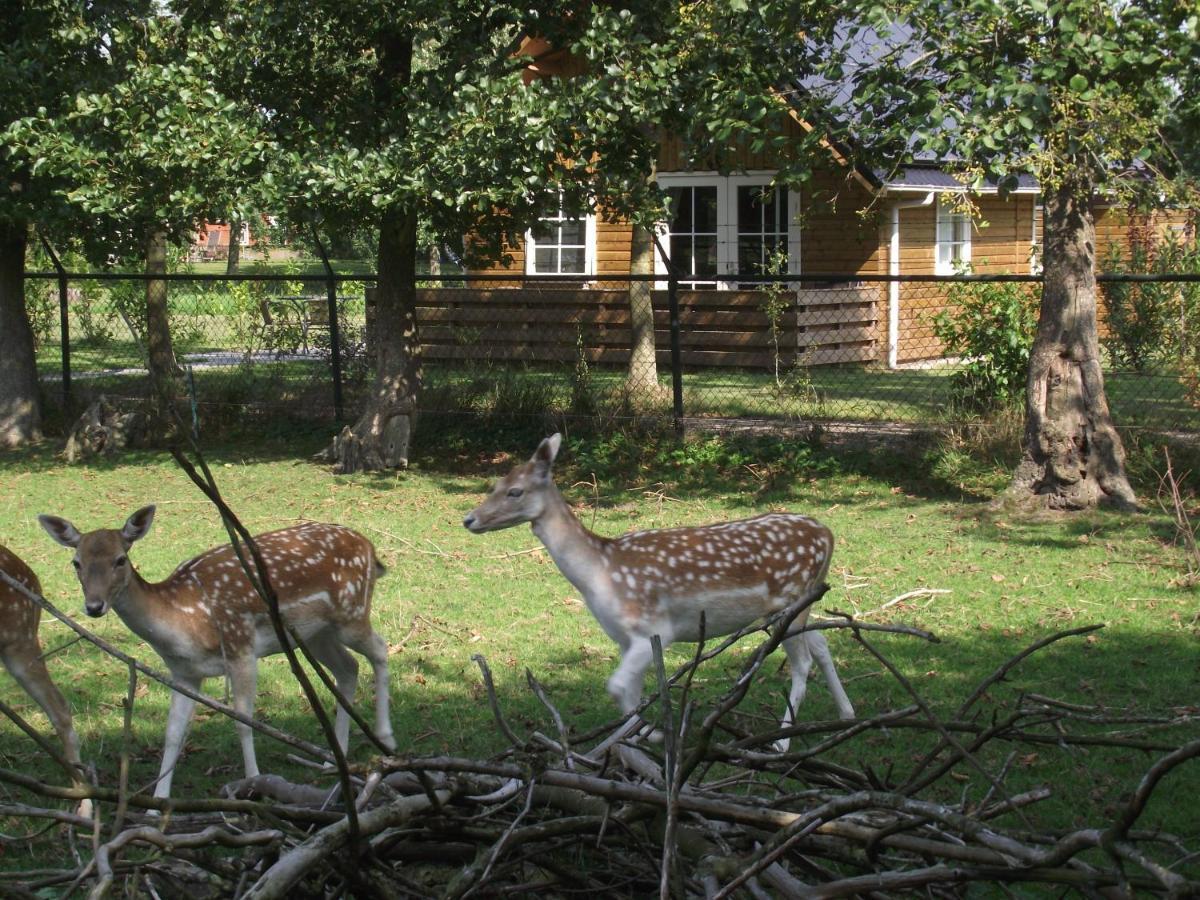 Vakantiehuisjes Landgoed Sonneborghe Kollumerzwaag 외부 사진